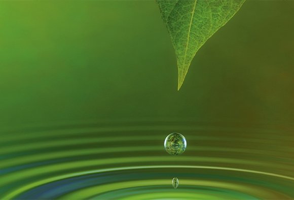 Environment and Sustainability